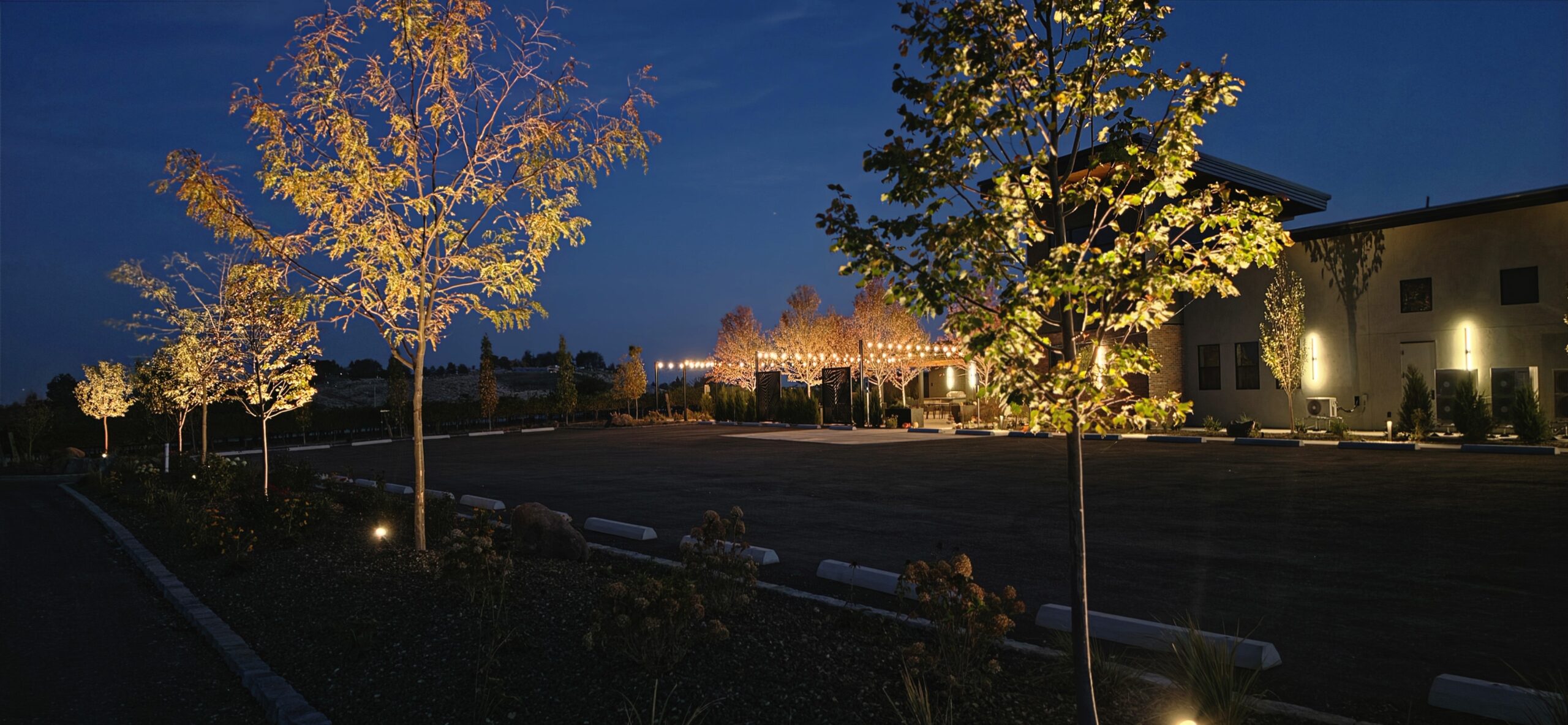 Warm Winery Landscape and Bistro Lighting in Caldwell