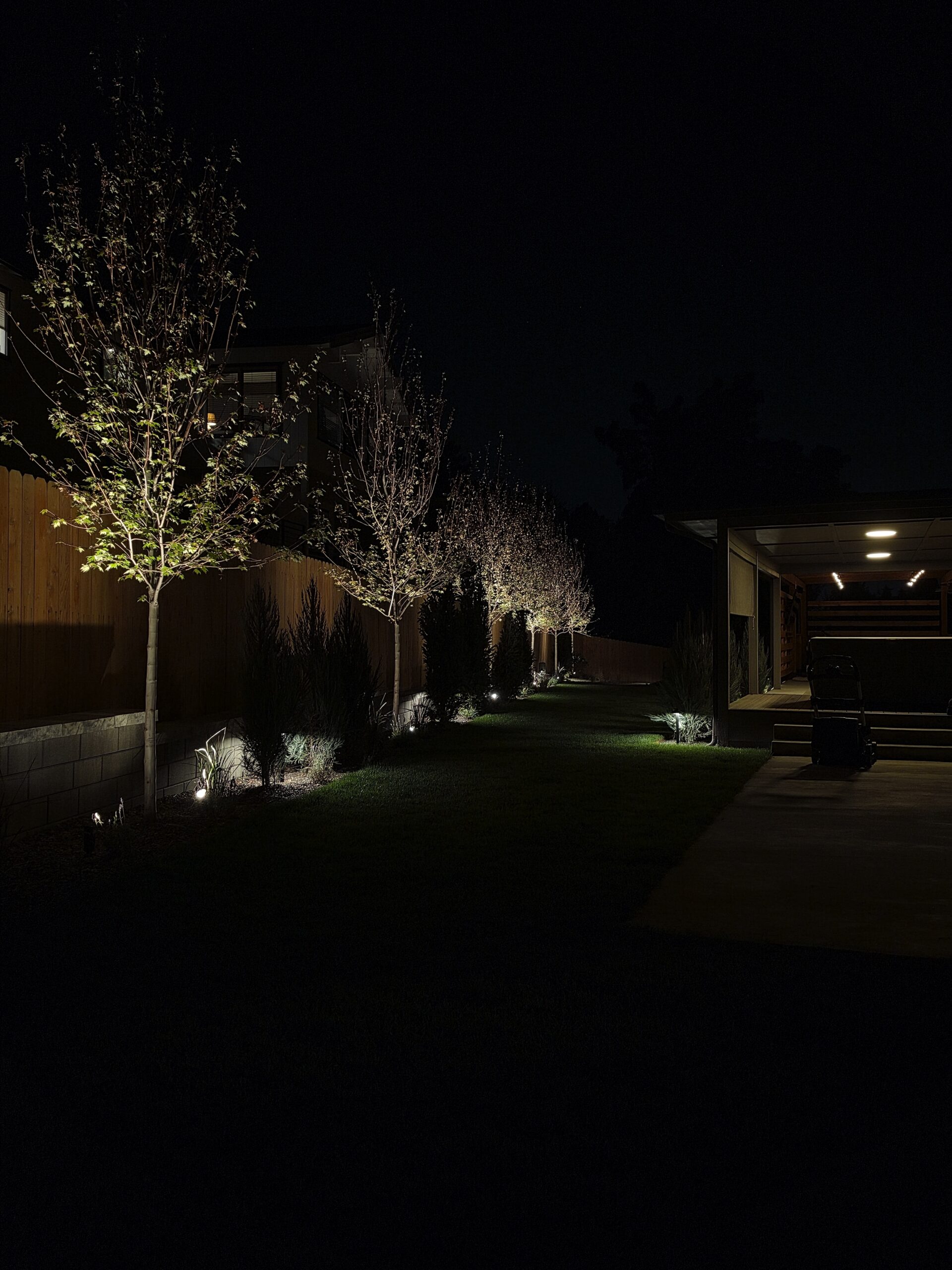 Boise Highlands Modern Landscape Lighting Transformation