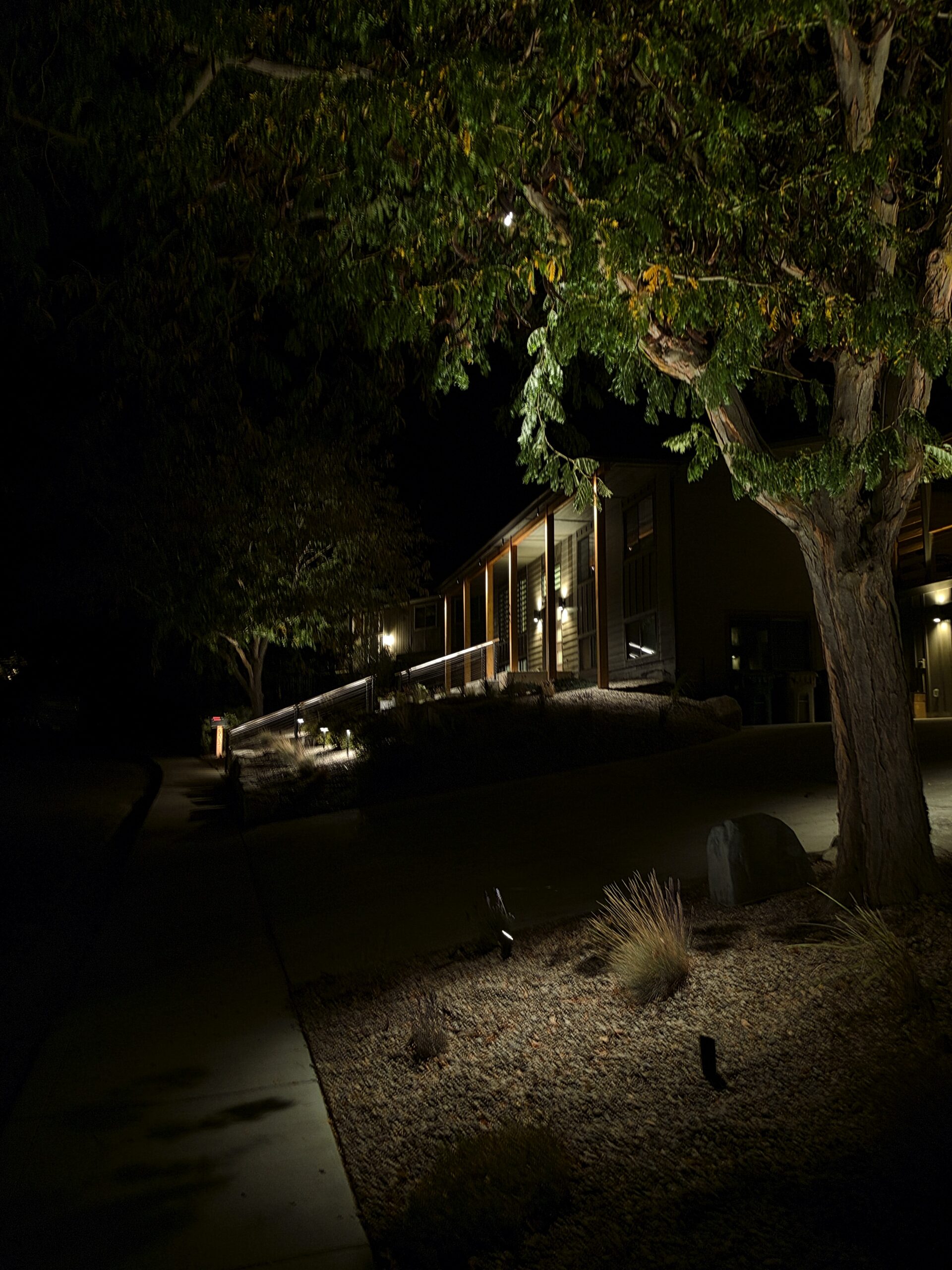 Boise Highlands Modern Landscape Lighting Transformation